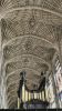 PICTURES/Cambridge University - Kings College Chapel/t_Fan Vault Ceiling1.jpg